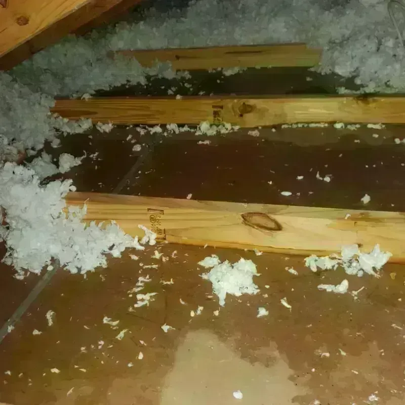 Attic Water Damage in Presquille, LA